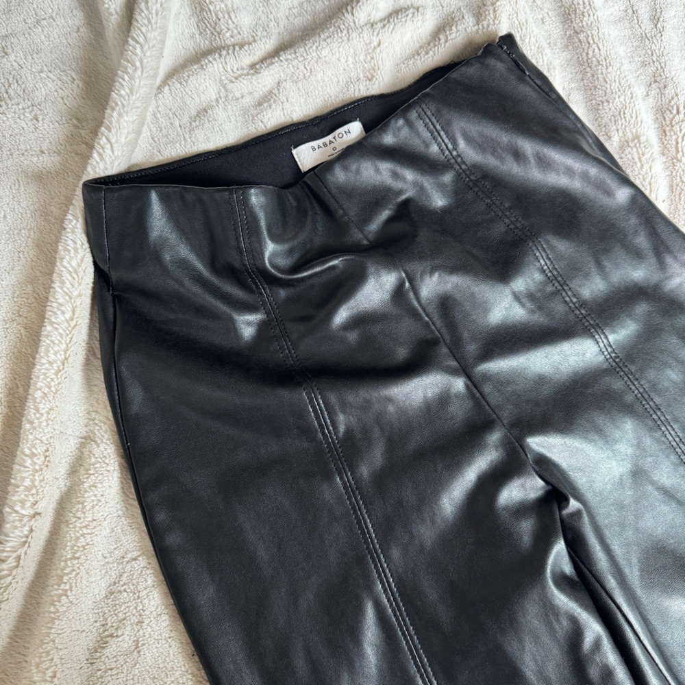 Artzia Babaton Leather Leggings with Side Zipper & Front Stitching